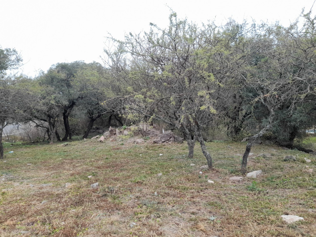 TERRENO EN VENTA 833 m2. COUNTRY TIERRALTA.MALAGUEÑO