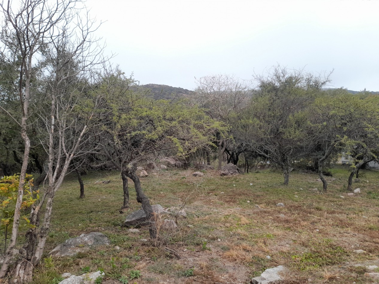 TERRENO EN VENTA 833 m2. COUNTRY TIERRALTA.MALAGUEÑO