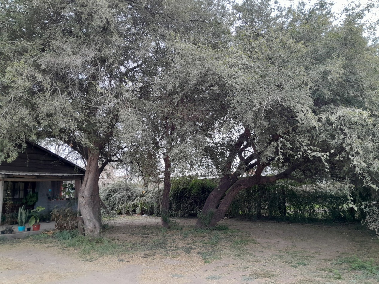 VENDO CASA TIPO CABAÑA EN 2 TERRENOS. ANISACATE. ESCRITURA!!!