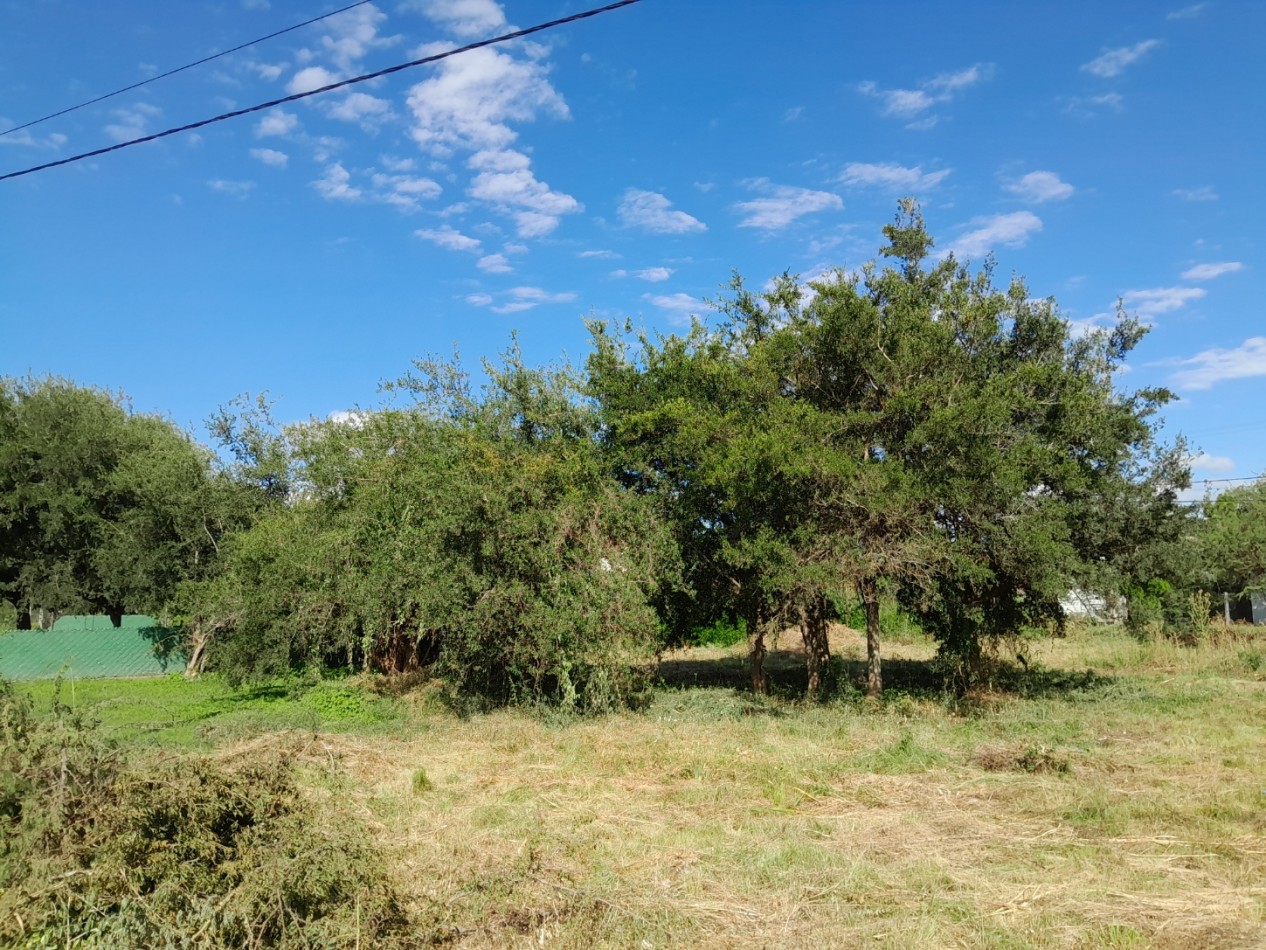 VENDO 2 LOTES B° NUEVO RIO CEBALLOS. 1.485 M2. APTO COMERCIAL/RESIDENCIAL. ESCRITURA.