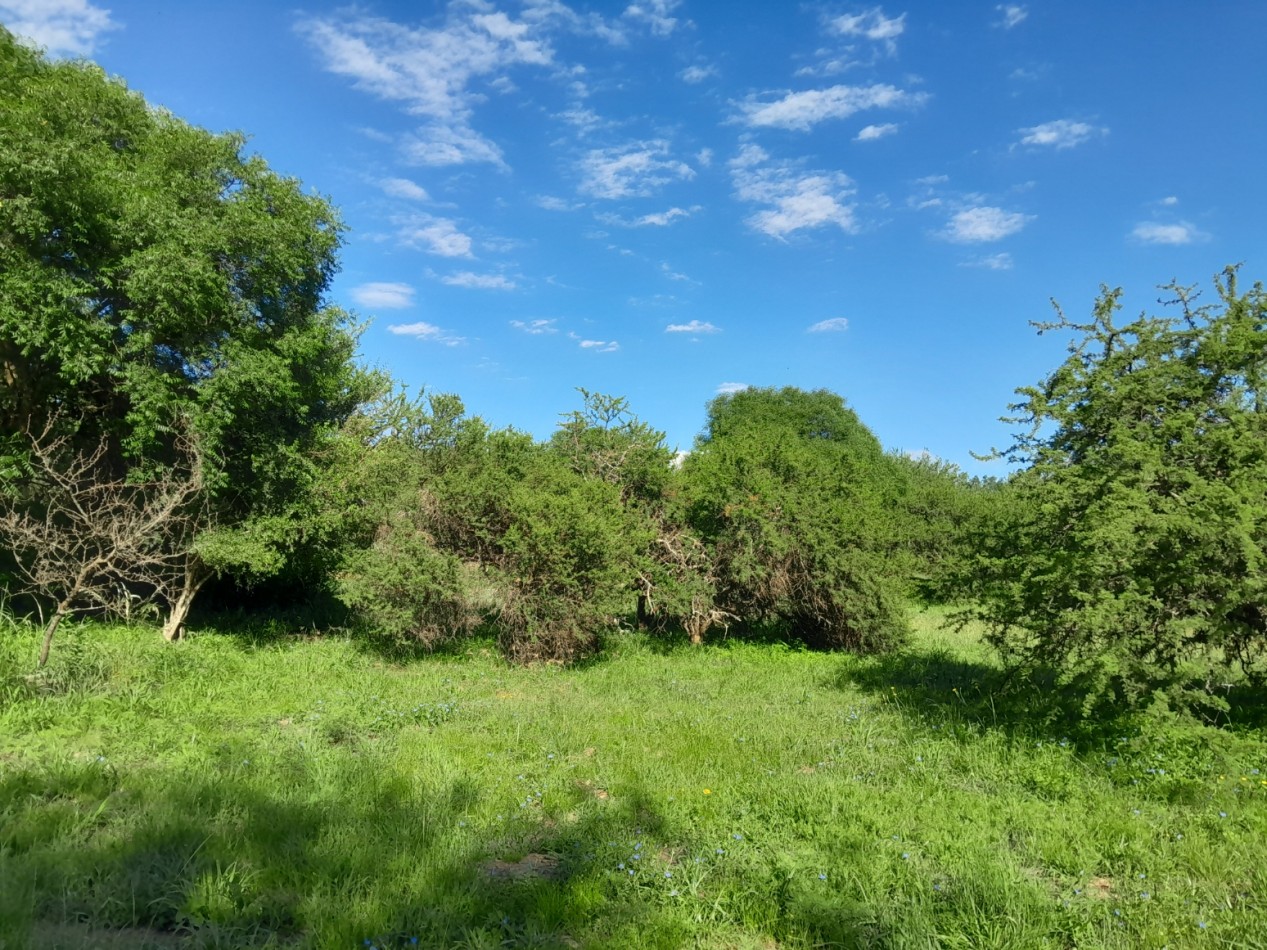 VENDO LOTE 761 M2 B° NUEVO RIO CEBALLOS. APTO COMERCIAL/RESIDENCIAL. ESCRITURA.