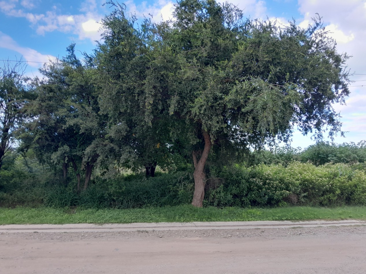 VENDO LOTE 1.757 M2 CON PROYECTO DE CENTRO COMERCIAL. RUTA E53.