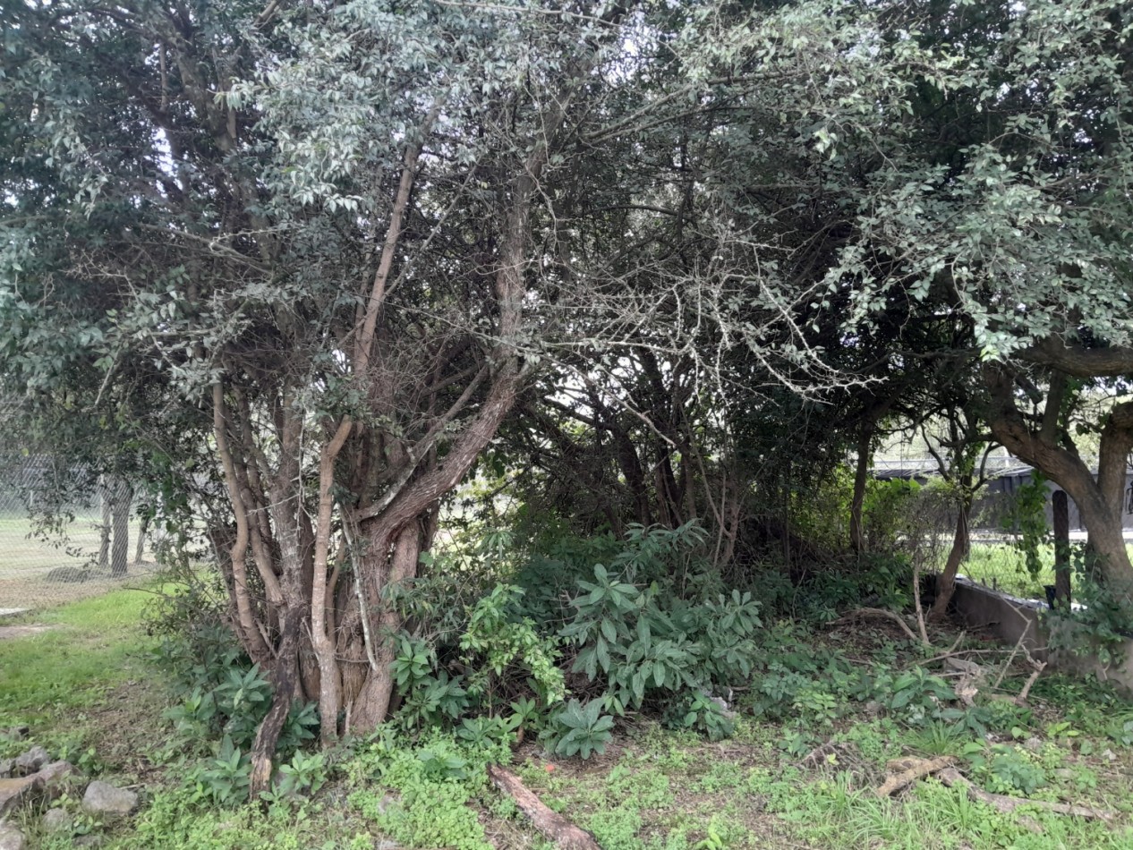 VENDO LOTE 300 m² - VILLA CATALINA. Etapa Campos Verdes | Reservado!!!