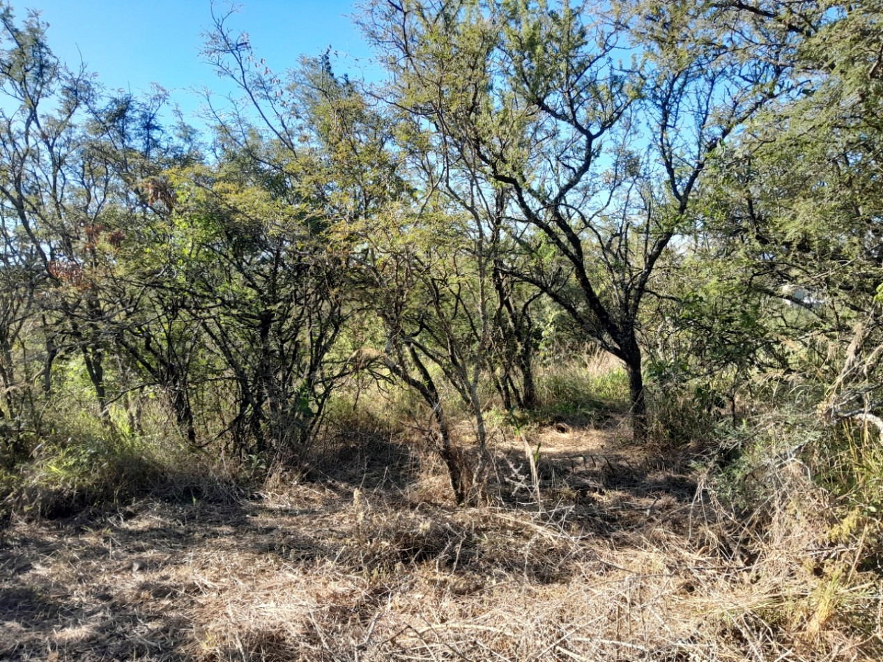 LOTE EN VENTA 250/500 M2. B° PROSSUR/LOMAS DEL CHAÑAR - VISTA PANORAMICA!!!