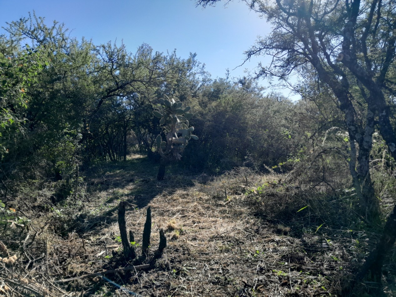 LOTE EN VENTA 250/500 M2. B° PROSSUR/LOMAS DEL CHAÑAR - VISTA PANORAMICA!!!