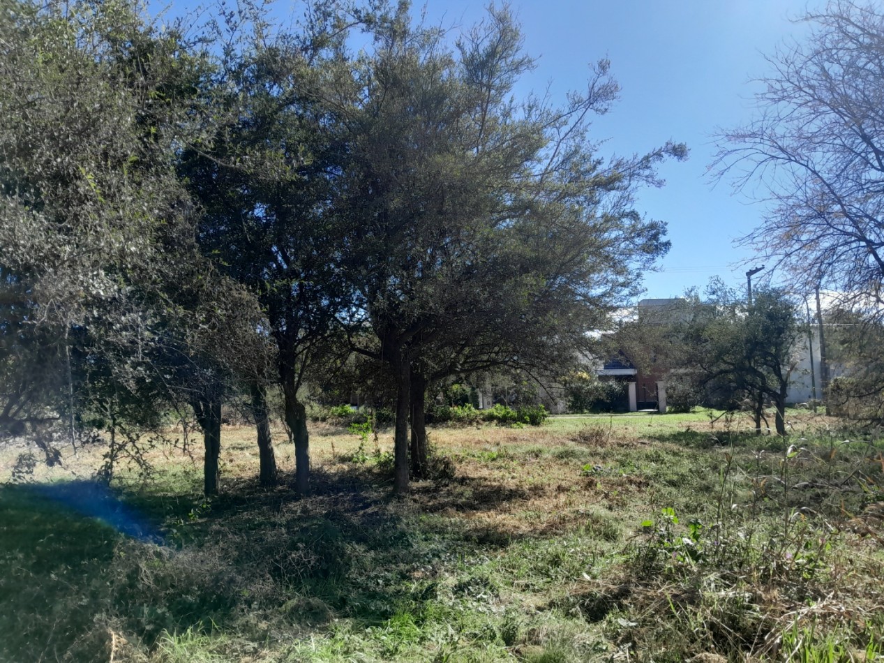 VENDO LOTE B° NUEVO RIO CEBALLOS. 724 M2. APTO COMERCIAL/RESIDENCIAL. ESCRITURA.