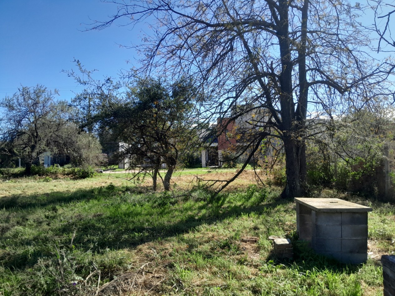 VENDO LOTE B° NUEVO RIO CEBALLOS. 724 M2. APTO COMERCIAL/RESIDENCIAL. ESCRITURA.