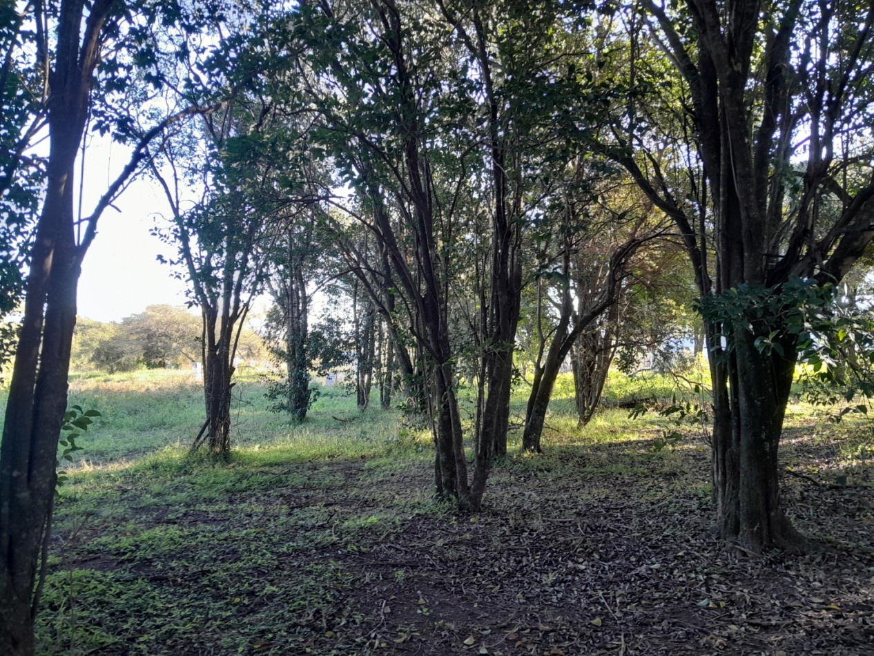 VENDO LOTE 476 M² EN AIRES DEL NORDESTE - VISTA DIRECTA A LAS SIERRAS