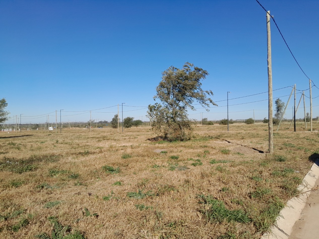 VENDO LOTE 250 M2 C/POSESION Y OBRAS PAGAS B° DOCTA PARQUE MALAGUEÑO