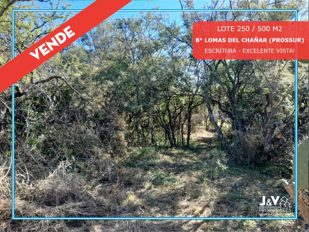 LOTE EN VENTA 250/500 M2. B° PROSSUR/LOMAS DEL CHAÑAR - VISTA PANORAMICA!!!