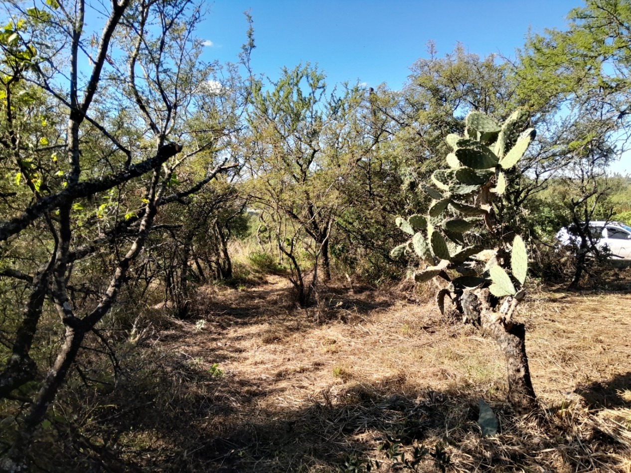 LOTE EN VENTA 250/500 M2. B° PROSSUR/LOMAS DEL CHAÑAR - VISTA PANORAMICA!!!