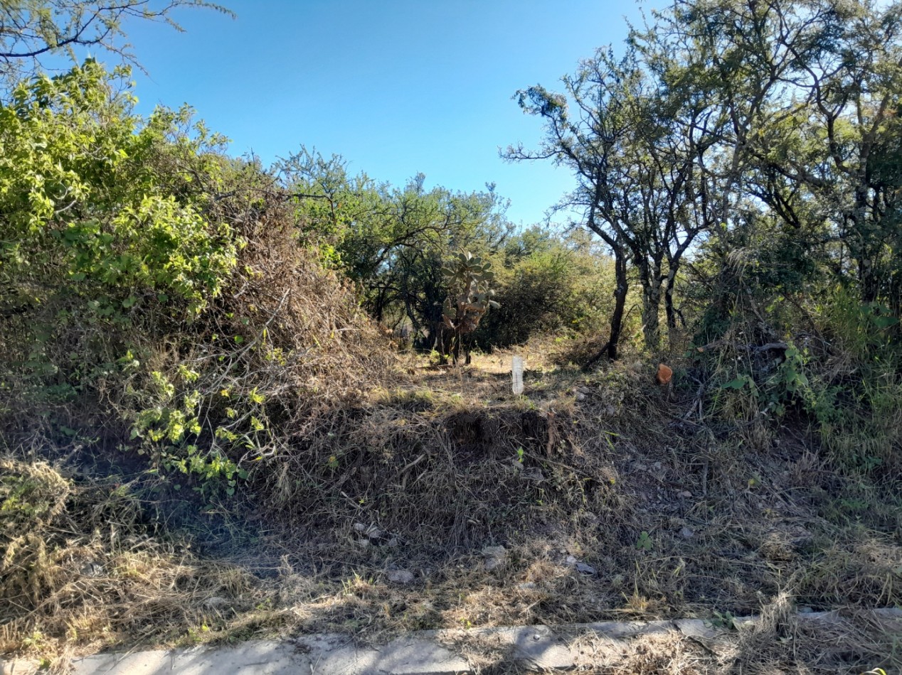 LOTE EN VENTA 250/500 M2. B° PROSSUR/LOMAS DEL CHAÑAR - VISTA PANORAMICA!!!