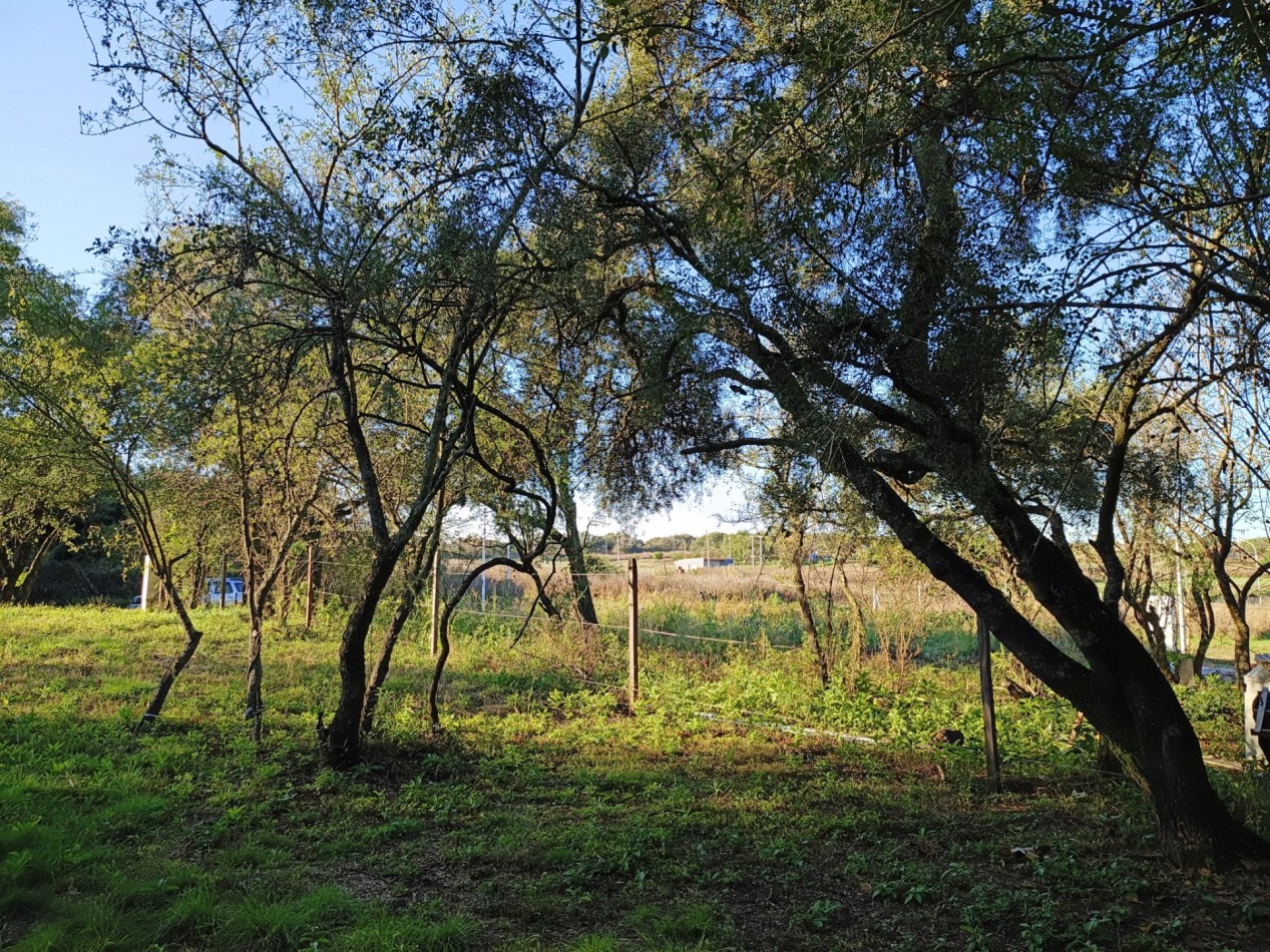 VENDO LOTE 476 M2 B° AIRES DEL NORDESTE