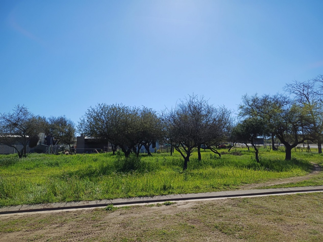 VENDO LOTE 1.223 m² - BELA VISTA