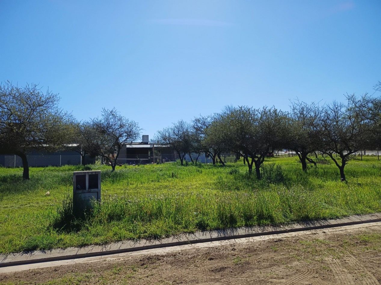 VENDO LOTE 1.223 m² - BELA VISTA