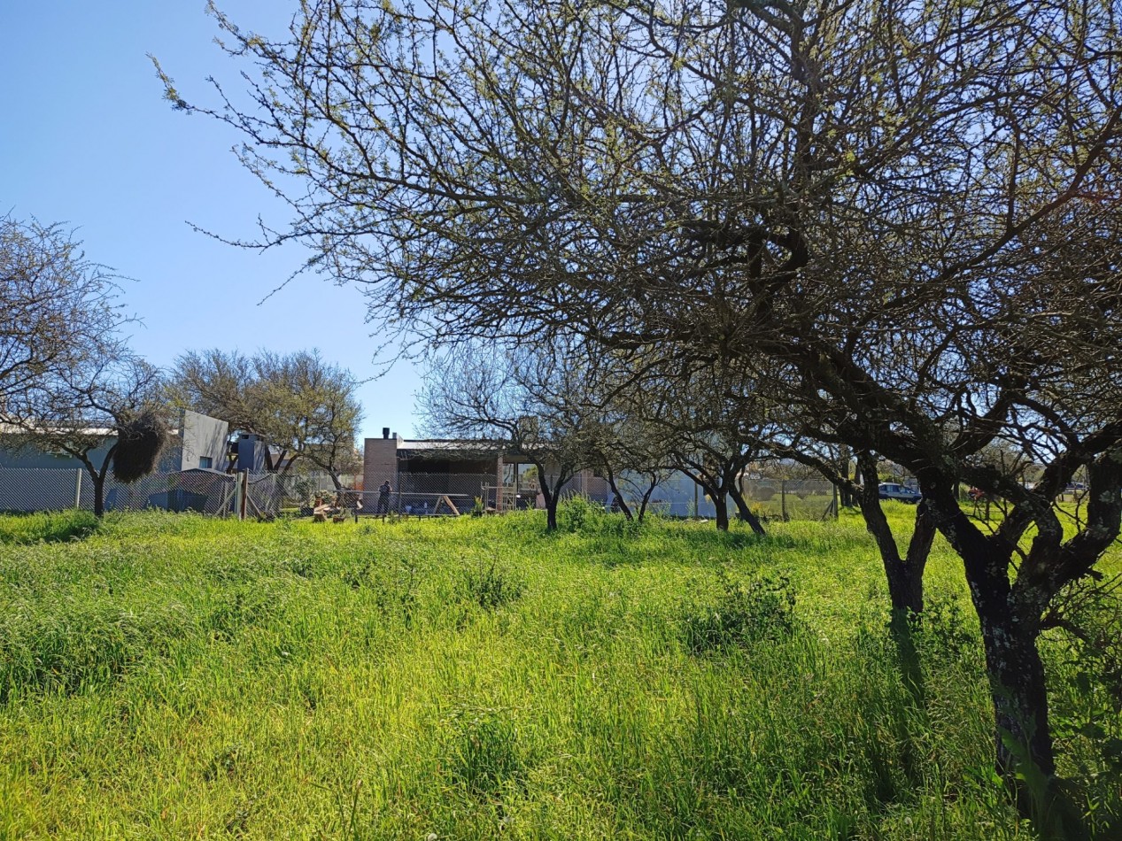 VENDO LOTE 1.223 m² - BELA VISTA
