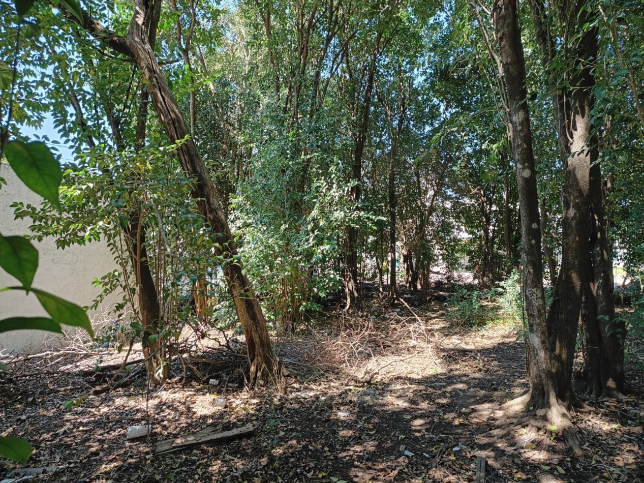 VENDO LOTE 300 M2 VILLA CATALINA ETAPA CAMPOS VERDES