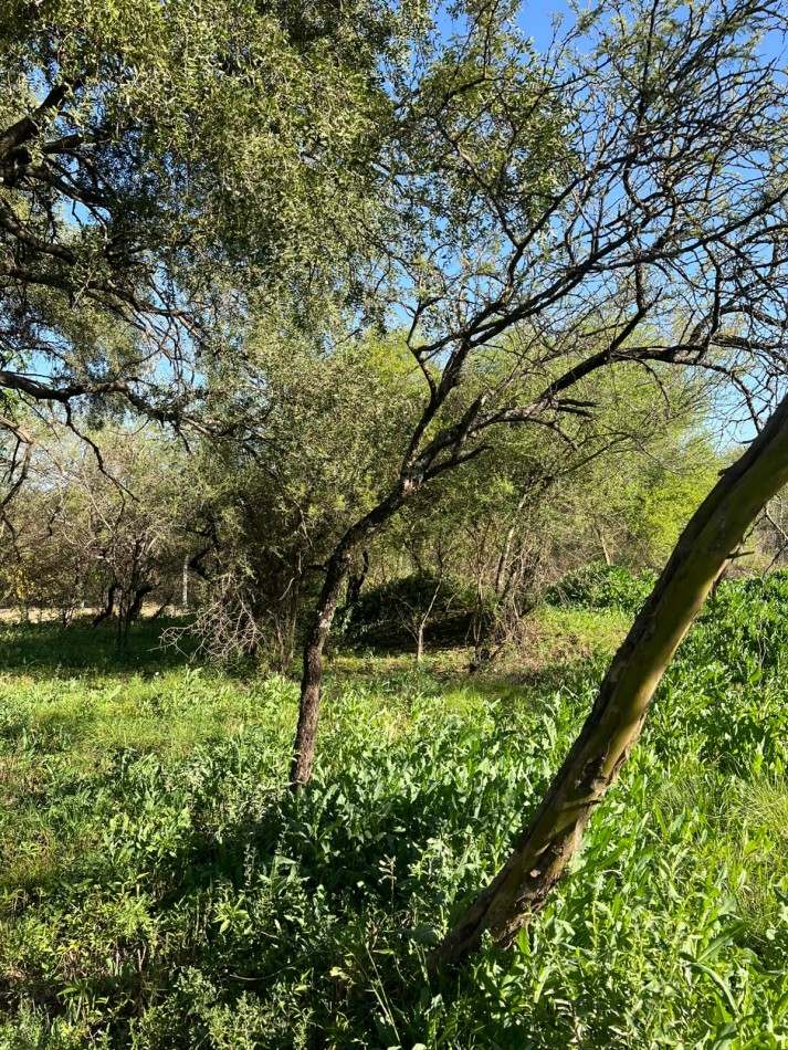 LOTE EN VENTA AYRES DEL NORDESTE. 476 M2. OPORTUNIDAD!!!
