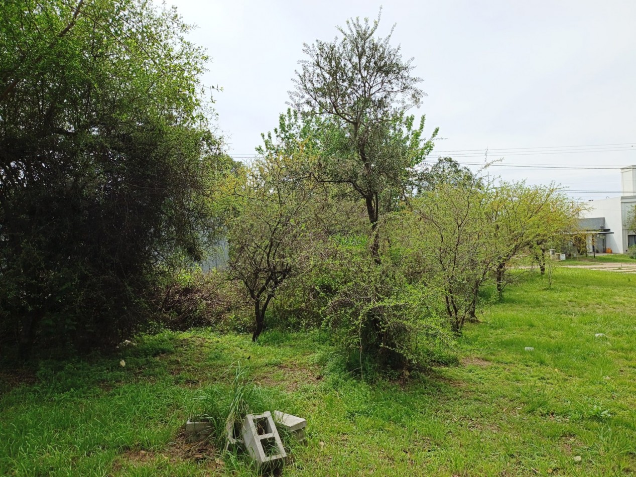 VENDO LOTE 400 M2 VILLA CATALINA - ESCRITURA Y OBRA DE GAS PAGADA