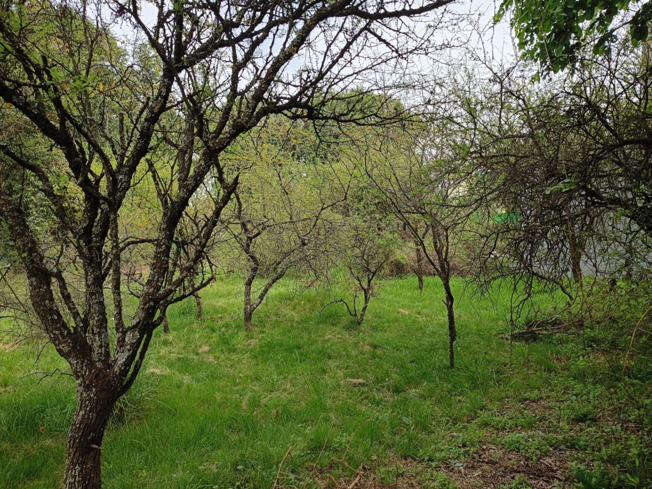 VENDO LOTE 400 M2 VILLA CATALINA - ESCRITURA Y OBRA DE GAS PAGADA