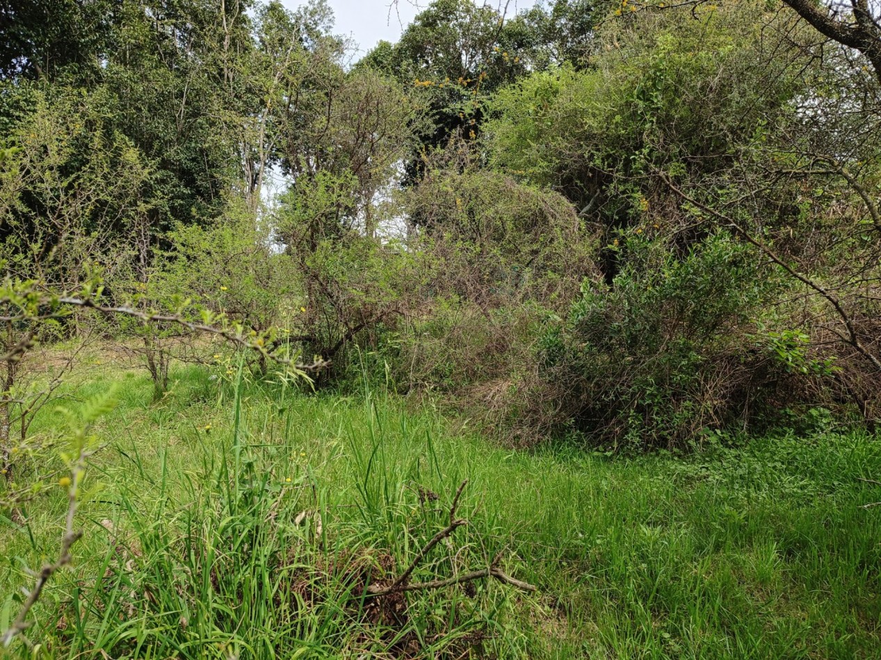 VENDO LOTE 400 M2 VILLA CATALINA - ESCRITURA Y OBRA DE GAS PAGADA