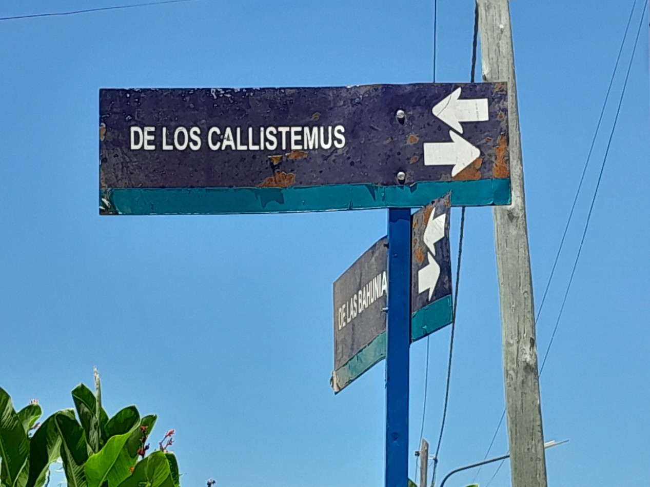 VENDO LOTE 385 M. B° VILLA JUANA, ALTA GRACIA. C/ ESCRITURA.