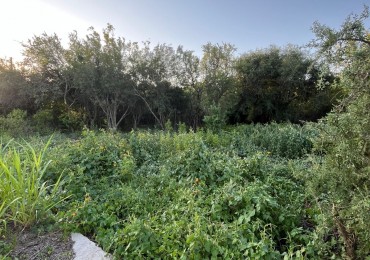 LOTE EN VENTA 250 M2- PROSSUR RIO CEBALLOS C/ESCRITURA