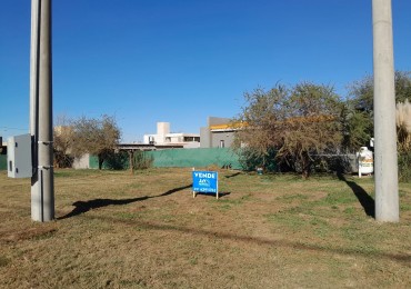 VENDO LOTE 508 M2 VILLA CATALINA. OBRA DE GAS PAGADA. OPORTUNIDAD UNICA!!!