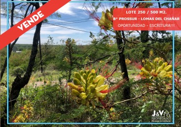TERRENO EN VENTA 250 / 500 M2. B° PROSSUR - LOMAS DEL CHAÑAR - ESCRITURA!!!!!